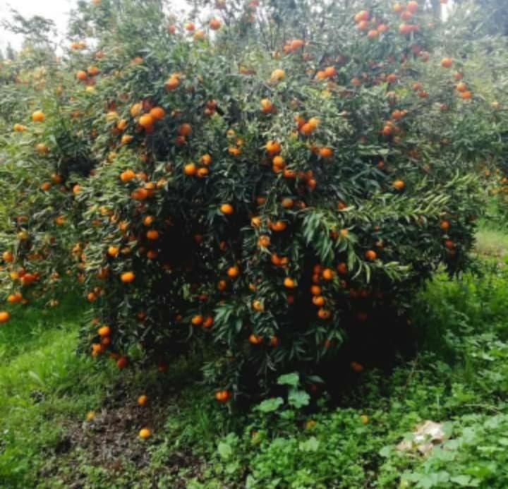 Dar Khedija ξενώνας El Kheriba Εξωτερικό φωτογραφία